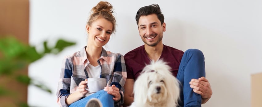 Pet Friendly Apartments In Denton Tx